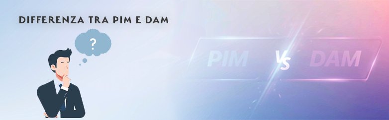 PIM vs DAM