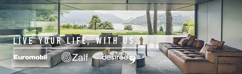 Gruppo Euromobil Case Study